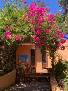 Casa MìMì La Maddalena